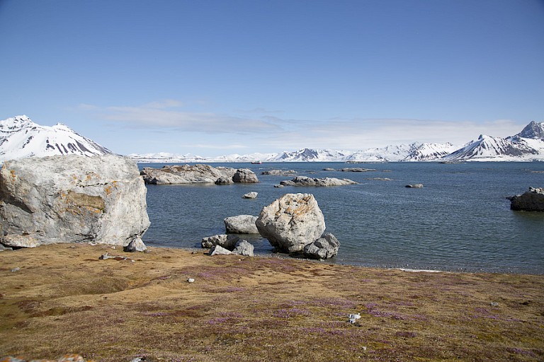 Landschap van de Hornsund met rechts de Hornsundtinden.
