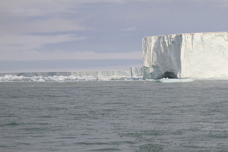 De indrukwekkende ijsmuur van de Austfonna