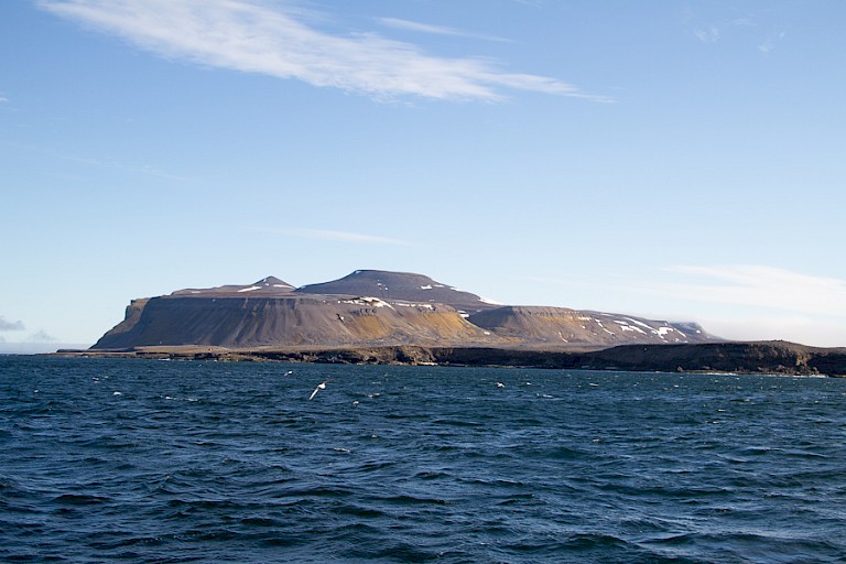 Bereneiland in zicht....