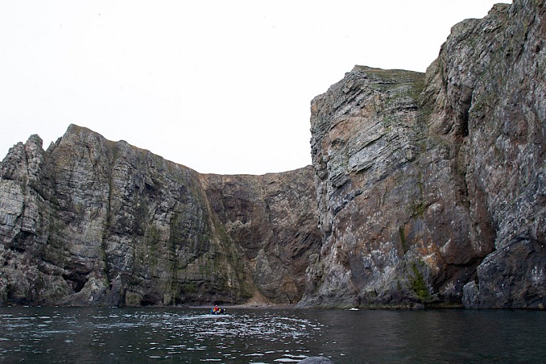 Met de zodiacs varen langs de kliffen.
