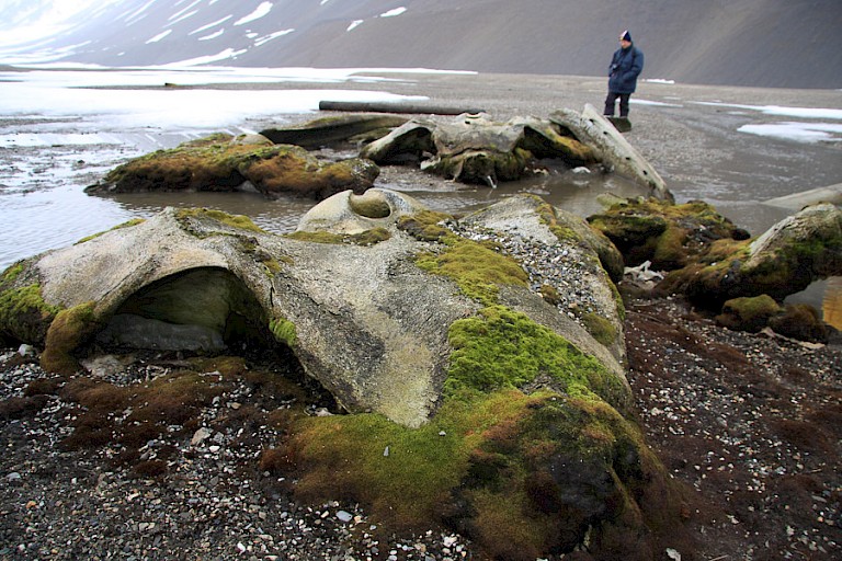 Overblijfselen van de walvisvaart bij Gåshamna in de Hornsund.