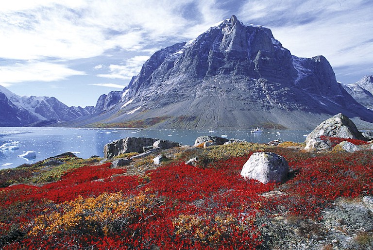 Skioldungen in herfstkleuren. Foto: Rinie van Meurs.