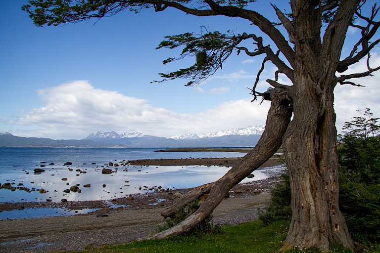 Langs het Beaglekanaal.