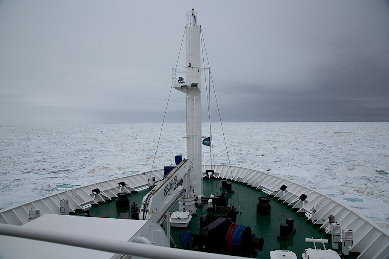 Het ijs wordt dichter.