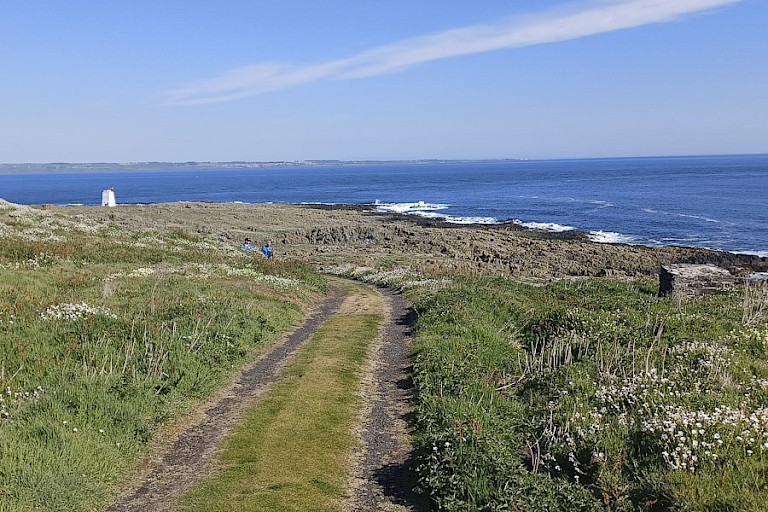 Karrespoor over het eiland May