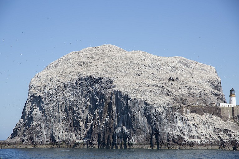 Bass Rock