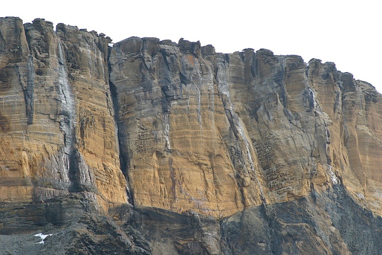 Madderclifs op Joinville
