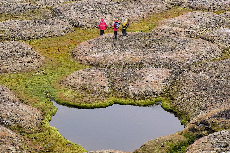 Wandelen over de toendra op Franz Josefland.