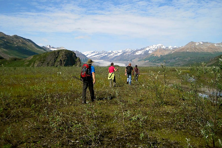 Wandelen in Denali NP, Alaska.