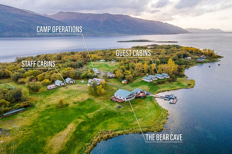 Kamp Kodiak Brown Bear Center
