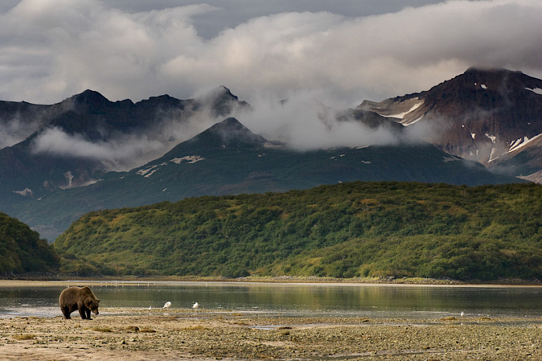 Het indrukwekkende landschap waarin de beren leven. Foto: André Gilden.