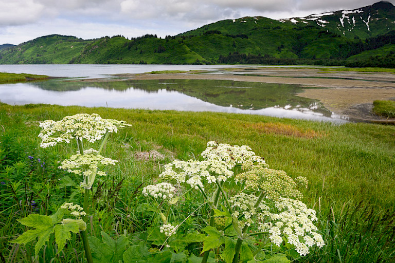 Als er even geen beren zijn is het tijd om te genieten van de omgeving. Foto: André Gilden.