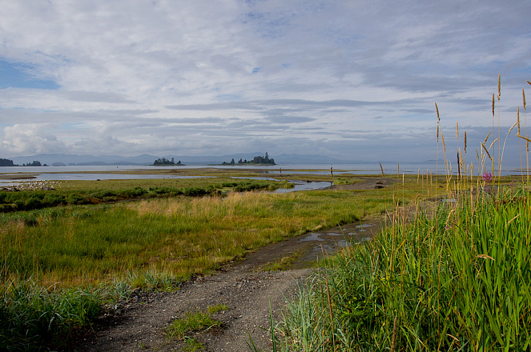 Een weids landschap nodigt uit tot wandelen.