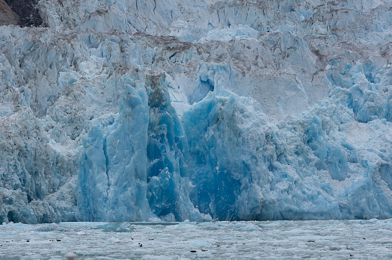 Gletsjerwand in Glacier Bay NP.