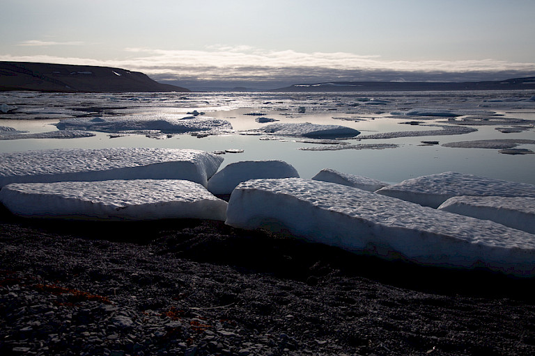 IJsschotsen op het strand bij Beechey.