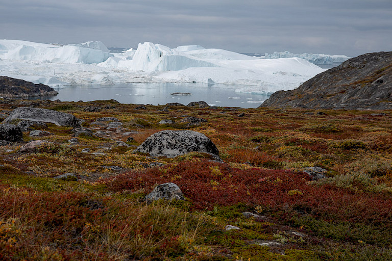 IJsbergen bij Ilulissat, Groenland.