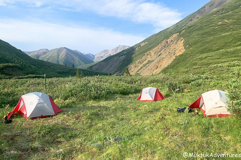 Overnachten langs de Cottonwood Trail, Kluane NP.