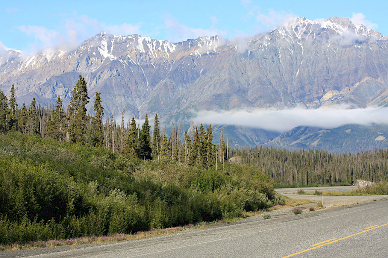 Landschap onderweg van Whitehorse naar Kluane NP.
