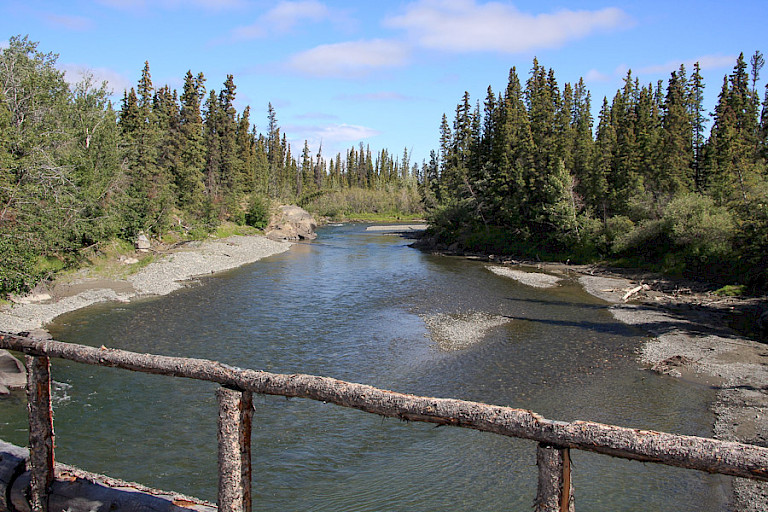 Tijdens de wandeltochten komt u soms houten bruggen tegen om rivieren over te steken.