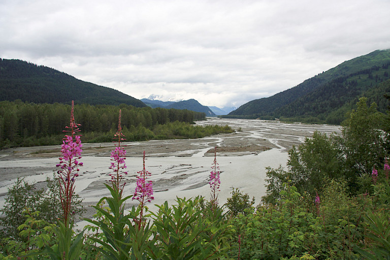 Langs de Demspter Highway.