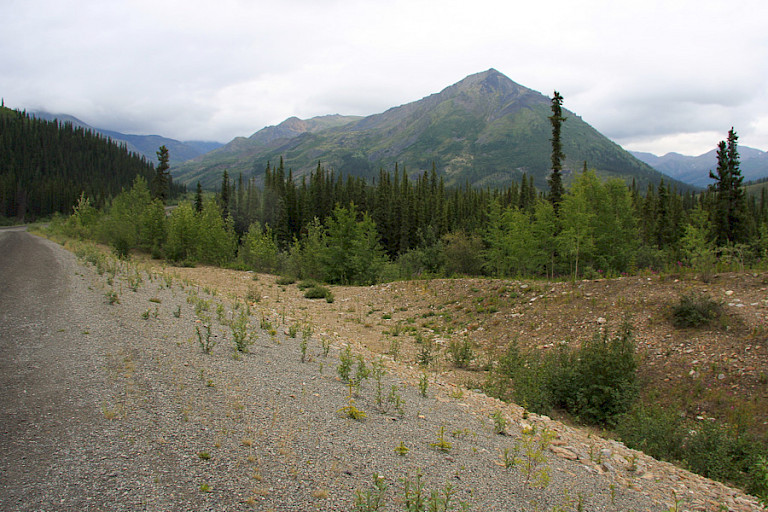 Haines Highway.