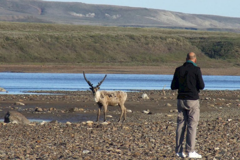 De Horton stroomt door het leefgebied van de rendieren.
