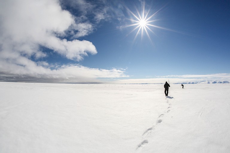 Een wandeling over het pakijs.