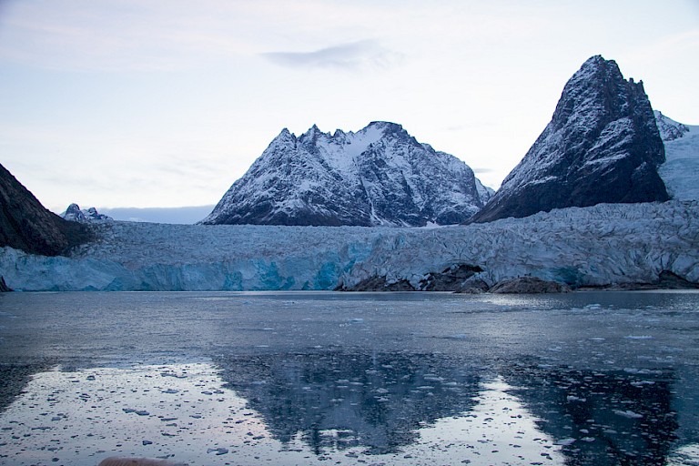 Gletsjerfront in de Evighedsfjord.