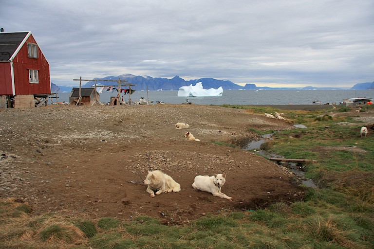 Qaanaaq, een kleine nederzetting in Noord-Groenland.