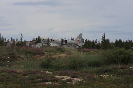 Miss Piggy, een  in 1979 neergestort vrachtvliegtuigje is een bezienswaardigheid bij Churchill.