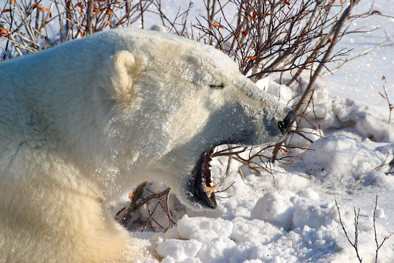 Wachten duurt soms lang en er is genoeg tijd om te rusten.