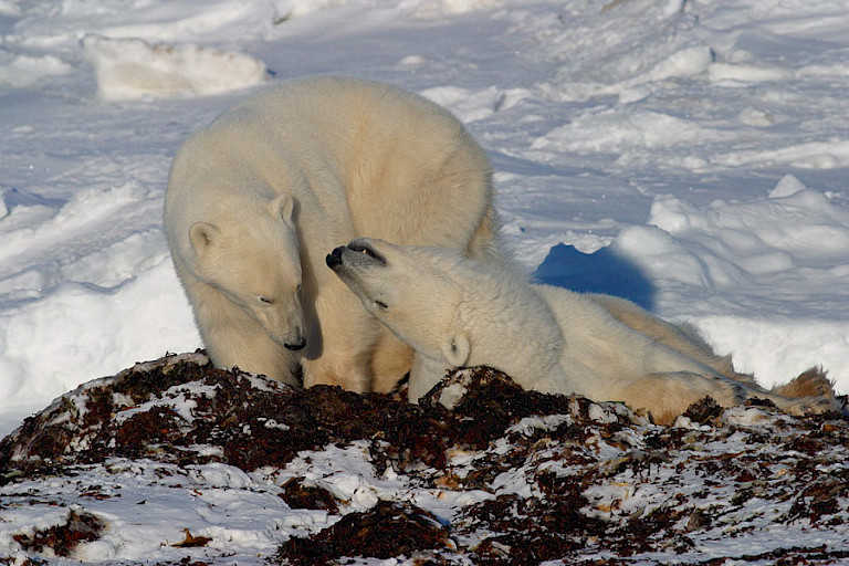In deze tijd is er ook aandacht voor elkaar.