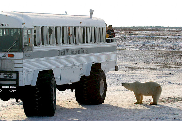 IJsberenexcursie per Polar Rover, Churchill.