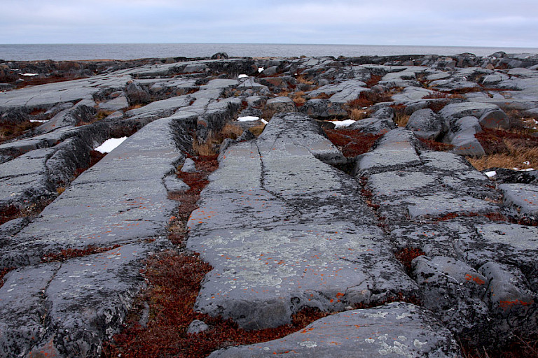 De rotsige kustlijn bij Churchill.