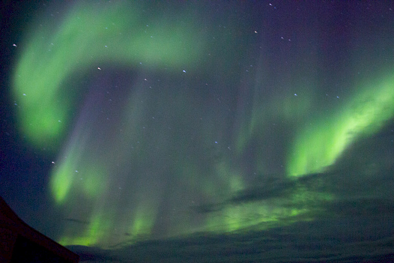 Dansend noorderlicht boven de toendra bij Churchill.
