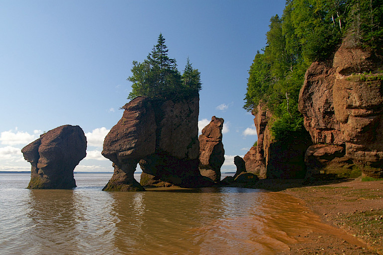 De grillig uitgeslepen rotsen bij eb in de Bay of Fundy.