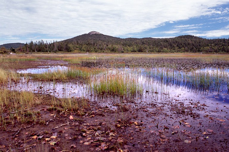 Cape Broyle, Newfoundland.