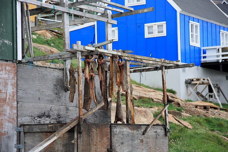 Visdroogrek in Kangaamiut.