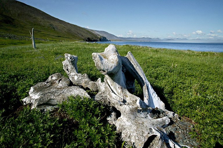 Whalebone Alley. Tsjoektsjen, Oost-Rusland. Foto: Henny Miltenburg.