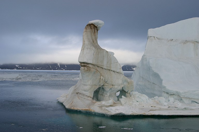 Door de vele grote gletsjers op Franz Josefland, drijven er ook veel grote ijsbergen rond