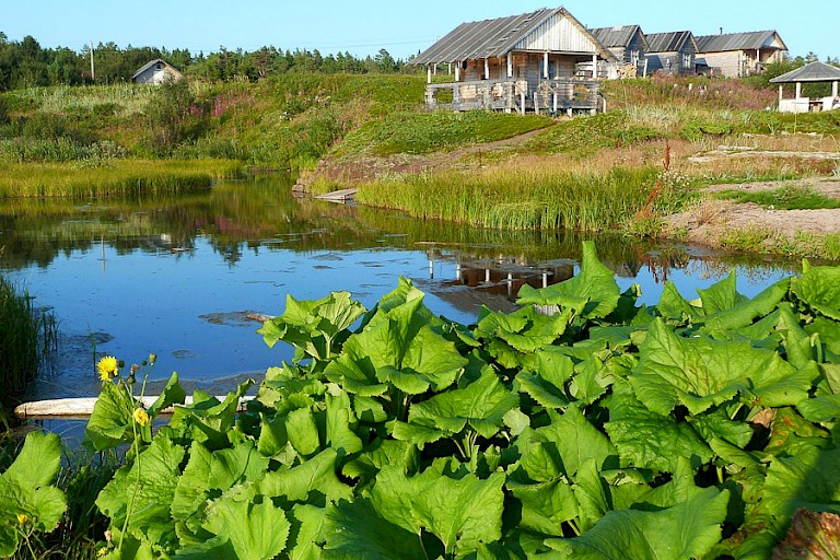 Huisjes van de camping Lodochny Ruchev.