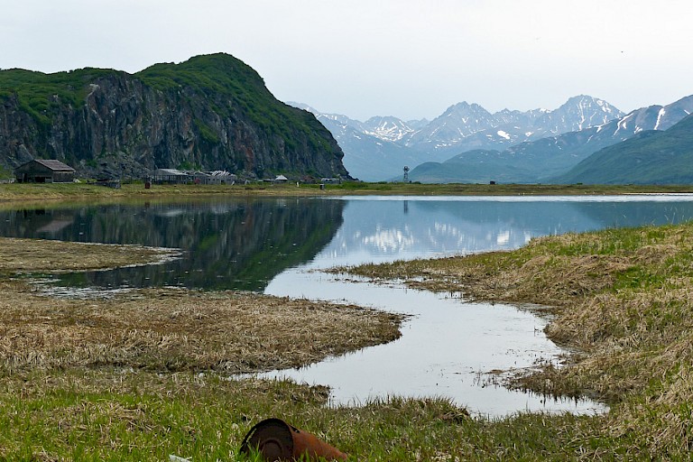 Weidse toendra's langs de kust van Tsjoektsjen, Rusland.