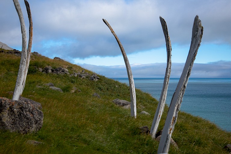 Staande walvisribben Whalebone Alley, Tsjoektsjen.