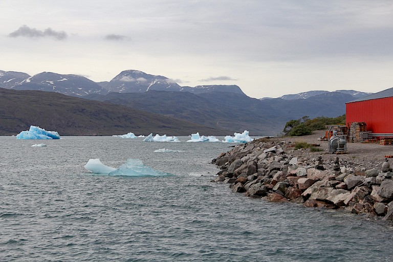 IJsbergjes drijven in het haventje van Narsarsuaq, Groenland.
