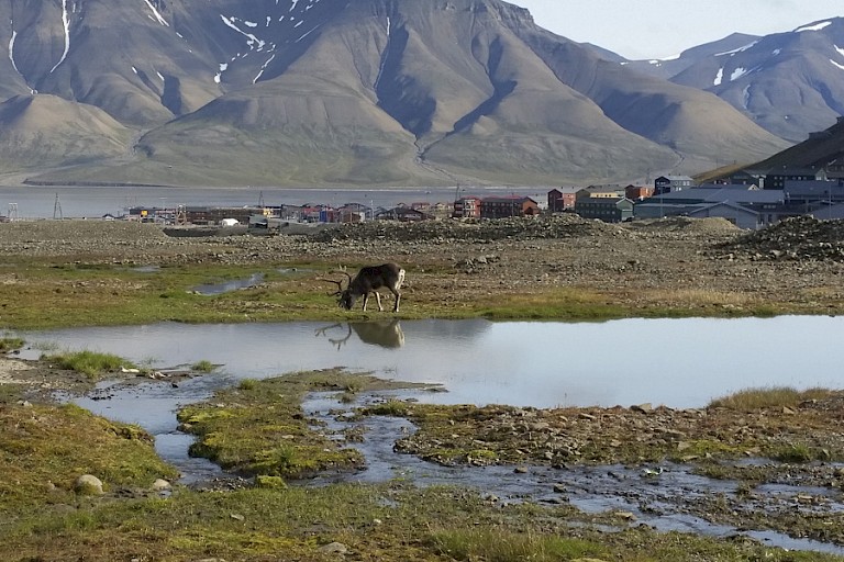 Aan de buitenrand van Longyearbyen, Spitsbergen