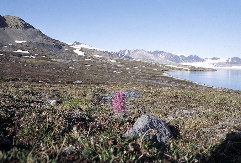 St. Johnsfjord aan de westkust van Spitsbergen