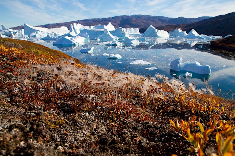 Uitzicht tijdens wandeling op Røde Ø.