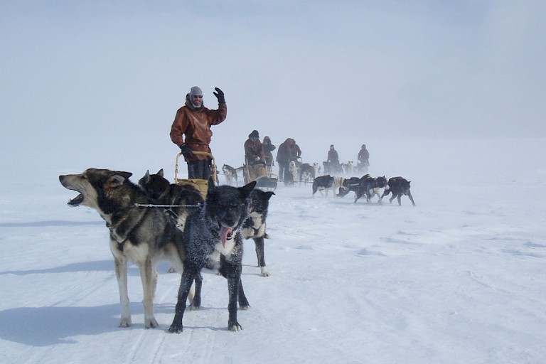 Hondensledetocht op de Finnmark Vidda.
