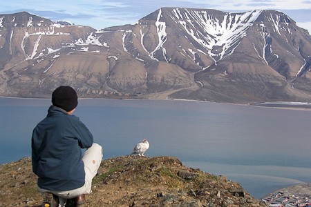 Uitzicht vanaf de Plateauberg. Hier met Sneeuwhoen. Wandelexcursie.