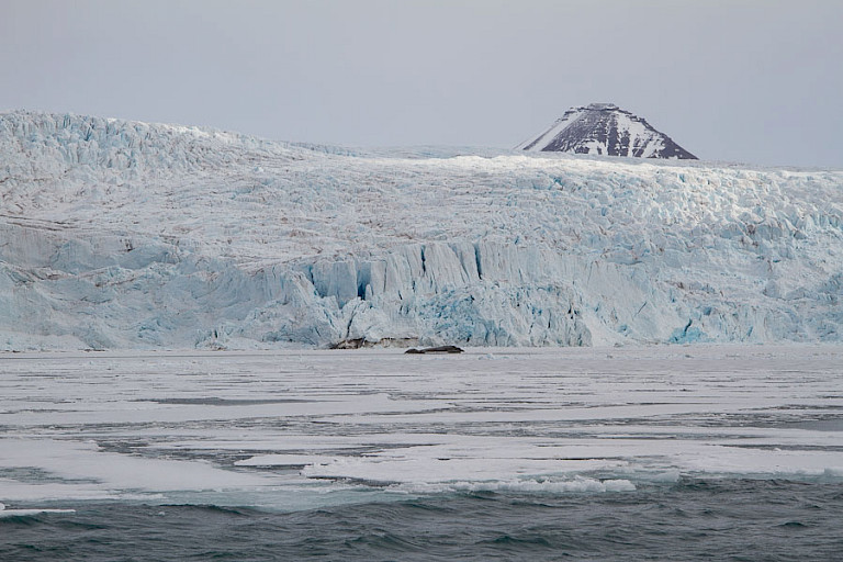 Front van Nordenskiöldbreen.